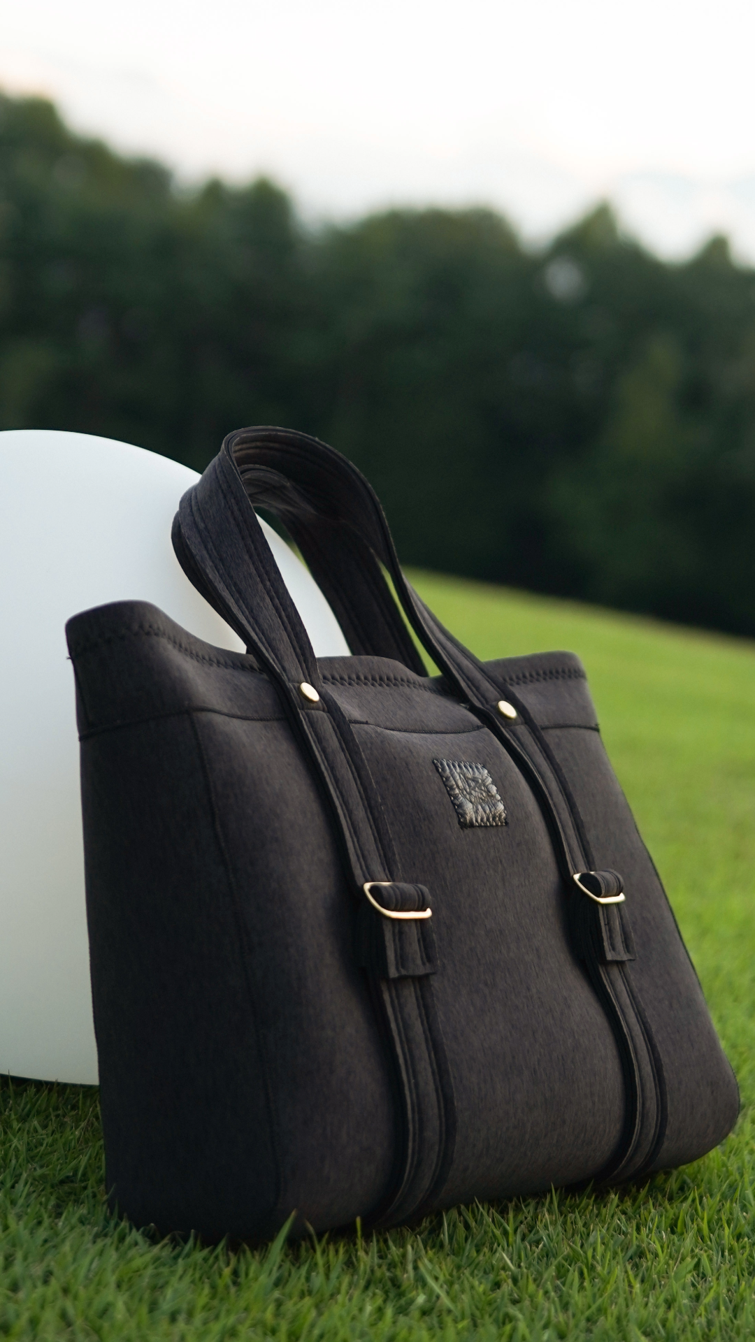 Pre-Order｜ZAG Totebag – 2 Colors